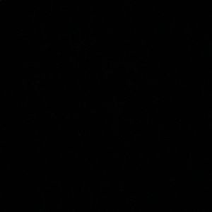 Meet your Posher, Zoey